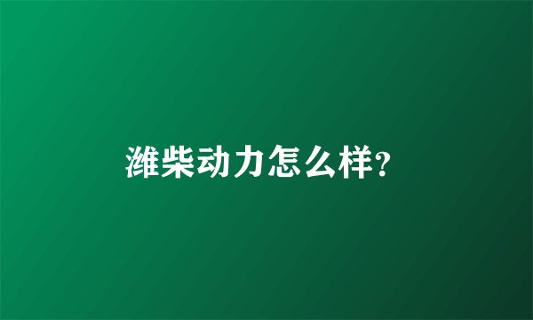 潍柴动力怎么样？