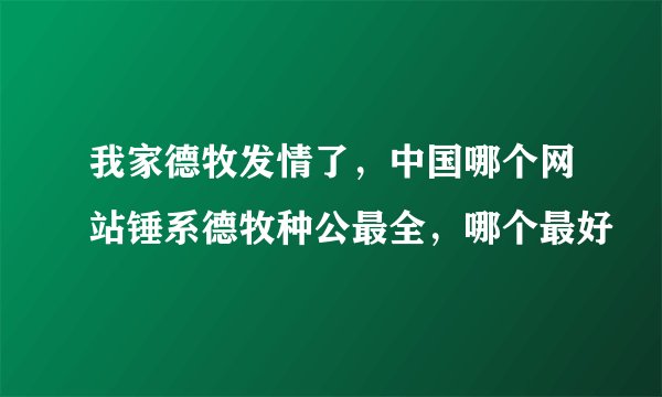 我家德牧发情了，中国哪个网站锤系德牧种公最全，哪个最好