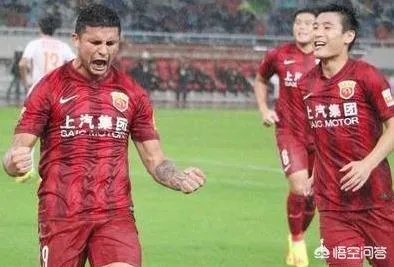 埃尔克森和高拉特以天价年薪“归化”我国，你认为对每逢比赛就“腿软”的国足有作用？