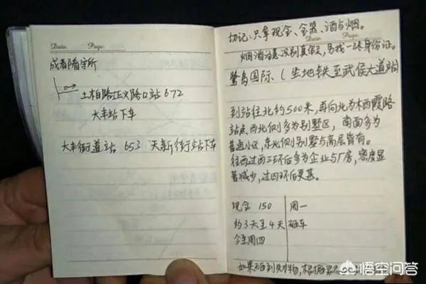 世界上有哪些愚蠢的小偷？