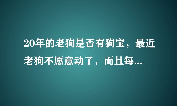 20年的老狗是否有狗宝，最近老狗不愿意动了，而且每天那都需要喝大量的水。吃东西也不多了？
