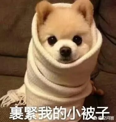 如何评价中国的跑男？