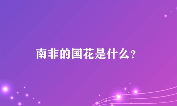 南非的国花是什么？