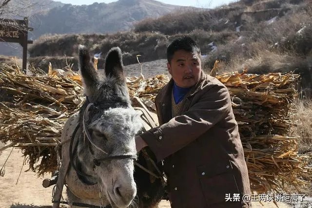 哪部电影或者电视剧是你心中的NO. 1？为什么？