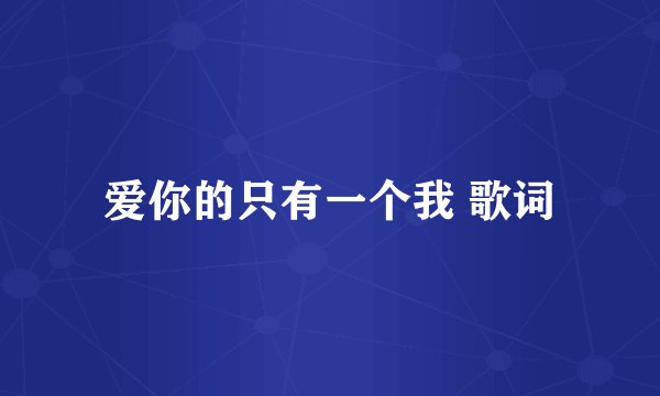 爱你的只有一个我 歌词