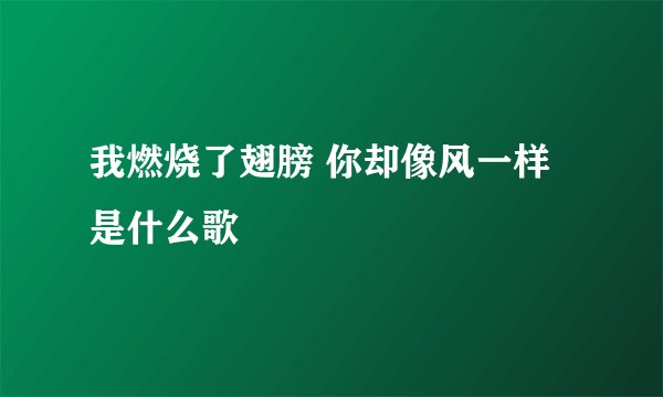 我燃烧了翅膀 你却像风一样是什么歌