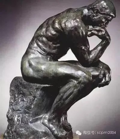 如何评价王思聪这个人?