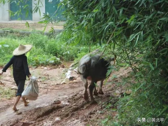 广西有很多的旅游资源，是什么原因导致旅游业不发达？