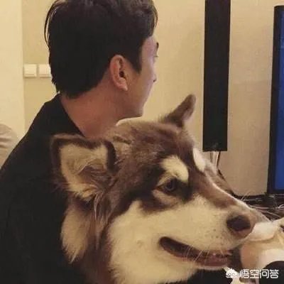 如何评价王思聪这个人?