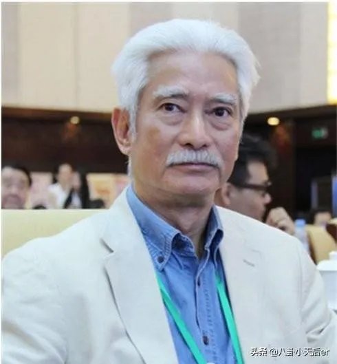 霍元甲很多版本，您们觉得哪一版本的主演最适合霍元甲那个角色？