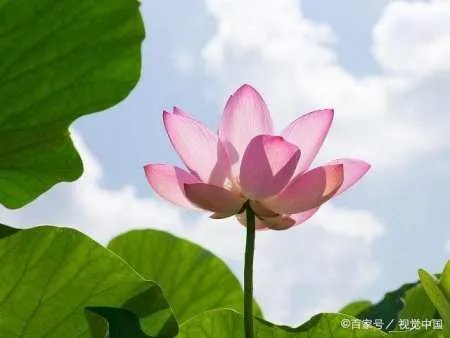 如何看清一个人？