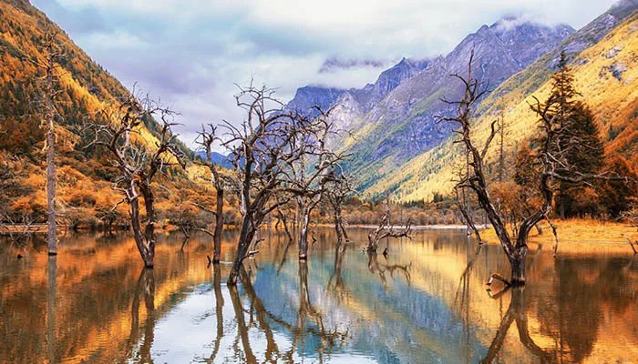 四姑娘山在哪里