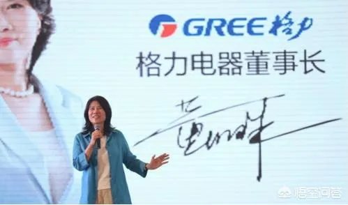 格力电器股权转让尘埃落定，公司将推股权激励计划，你怎么看？