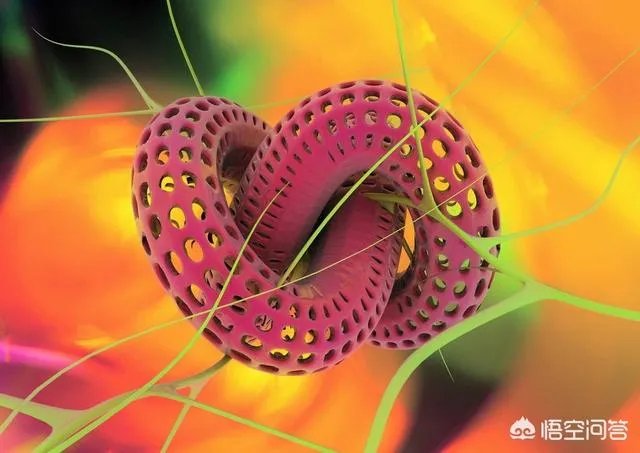 微观世界会有文明存在吗？