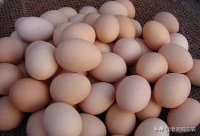 今年什么行情，鸡蛋跌回几年前的价格了，鸡蛋成了白菜价？