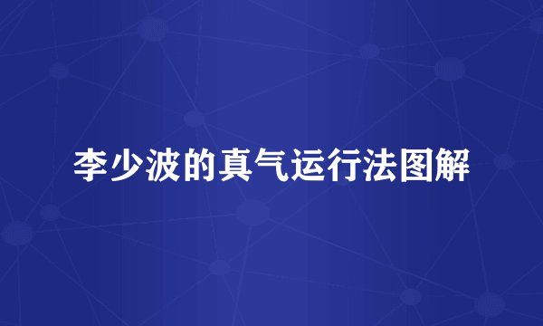 李少波的真气运行法图解