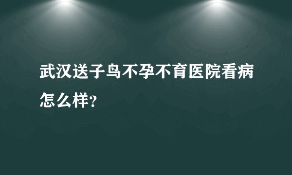 武汉送子鸟不孕不育医院看病怎么样？