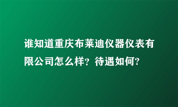 谁知道重庆布莱迪仪器仪表有限公司怎么样？待遇如何?