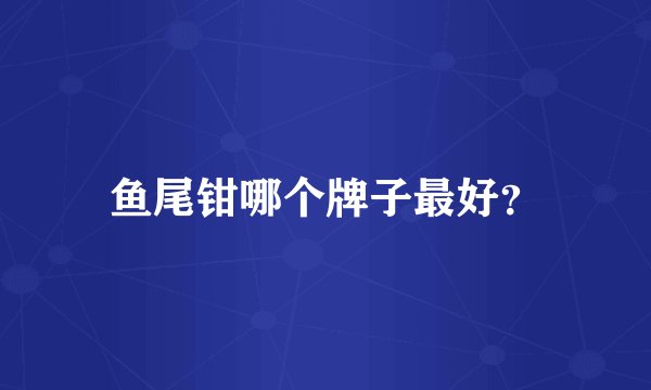 鱼尾钳哪个牌子最好？