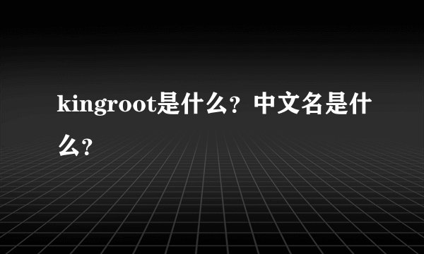 kingroot是什么？中文名是什么？