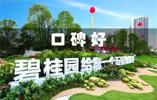 碧桂园品牌理念