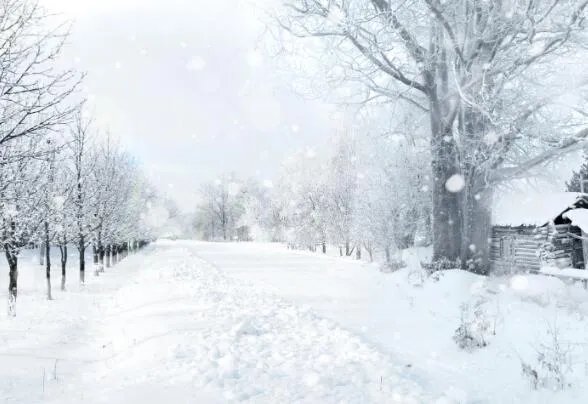 2020冬天是最冷的一年吗   今年冬天会是最冷的一个冬天吗