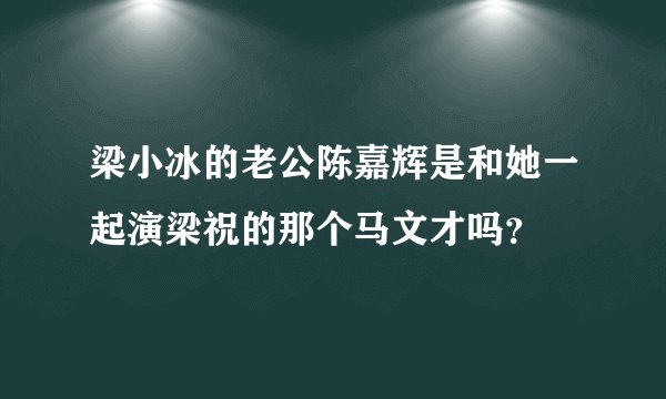 梁小冰的老公陈嘉辉是和她一起演梁祝的那个马文才吗？