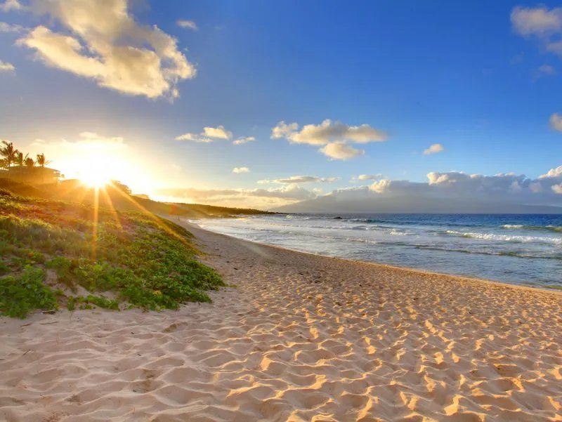 超长待机三伏天到来，养生需注意这些