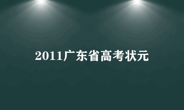 2011广东省高考状元