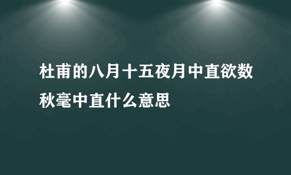 杜甫的八月十五夜月中直欲数秋毫中直什么意思