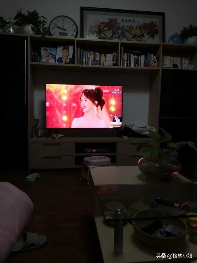 你和你的宠物如何一起跨年迎接2020？