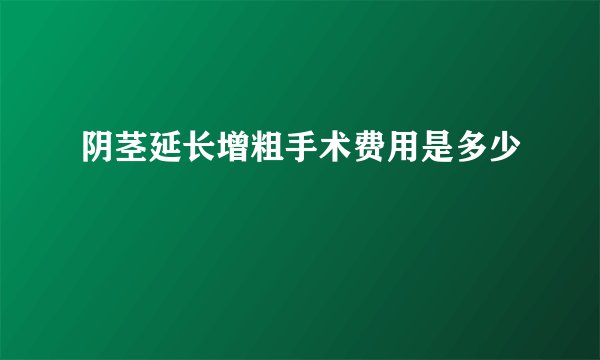 阴茎延长增粗手术费用是多少