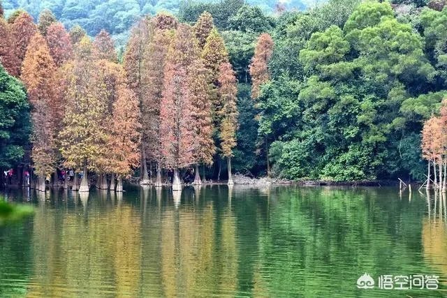 广州从化适合一个人去的地方