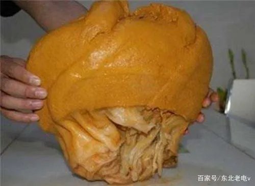 我们常说的“太岁”,到底是什么生物?