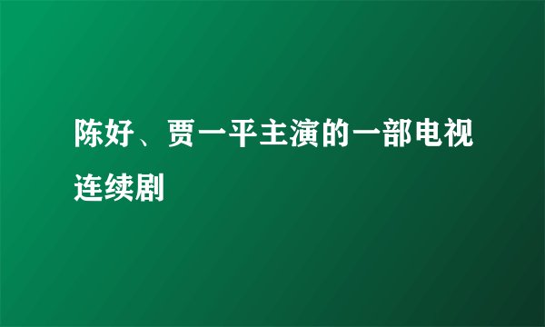 陈好、贾一平主演的一部电视连续剧