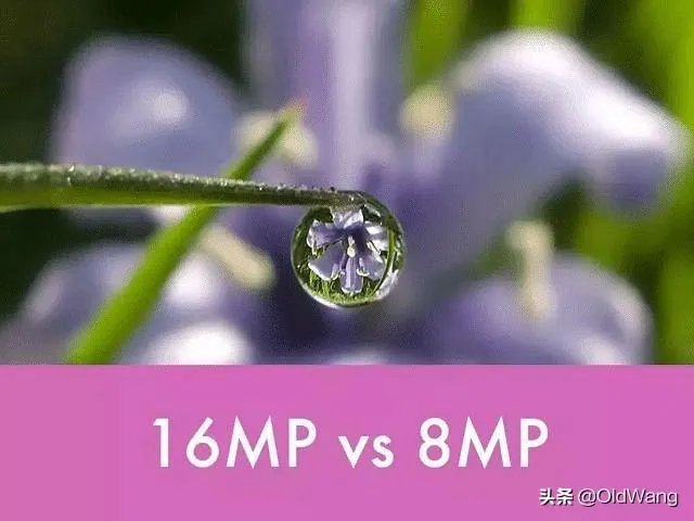 苹果手机1200万像素真的吊打4000万像素的专业相机吗?