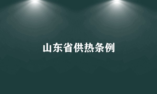 山东省供热条例