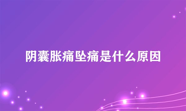 阴囊胀痛坠痛是什么原因