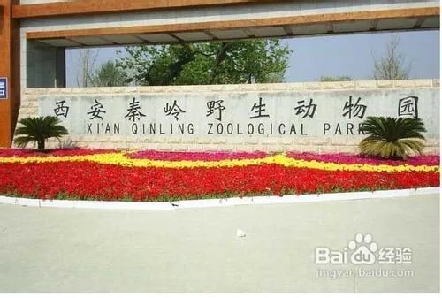 秦岭野生动物园游览路线