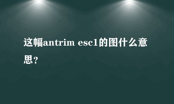 这幅antrim esc1的图什么意思？