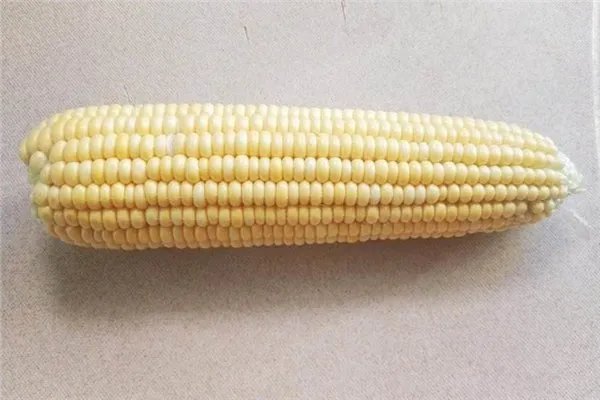 我国玉米价格每吨涨千元，对农业户有何影响？