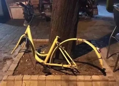 街头拆解共享单车卖废铁，为何“共享系列”总是频频遭受伤害？
