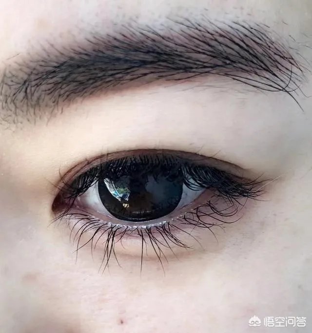 有好用的睫毛增长液有哪些推荐?