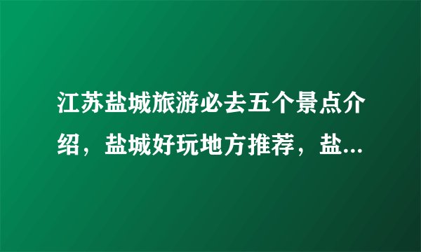 江苏盐城旅游必去五个景点介绍，盐城好玩地方推荐，盐城著名景点