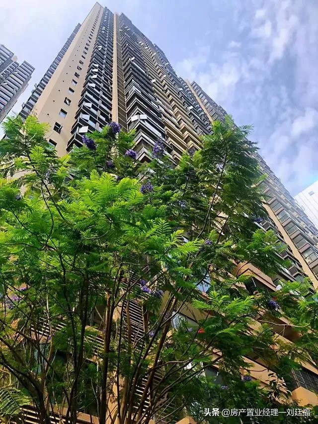 2020年,全国房价升还是降呢?