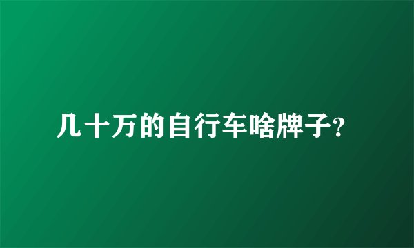 几十万的自行车啥牌子？