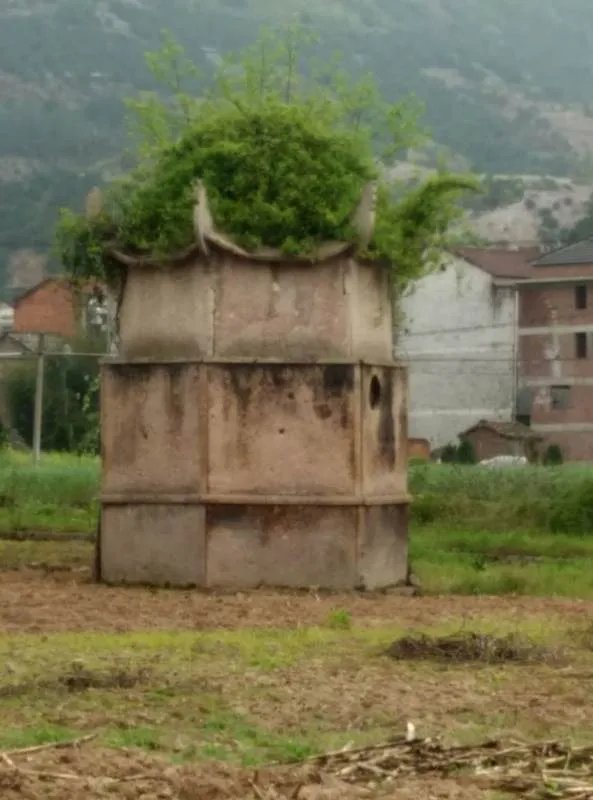 出生女婴被生父抛下山崖，当今社会为什么还有父母重男轻女？