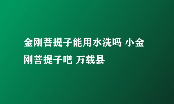 金刚菩提子能用水洗吗 小金刚菩提子吧 万载县