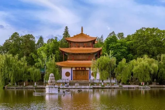 昆明万物｜自然而然，天生万物