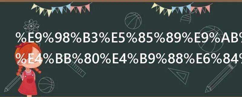 阳光高考是什么意思